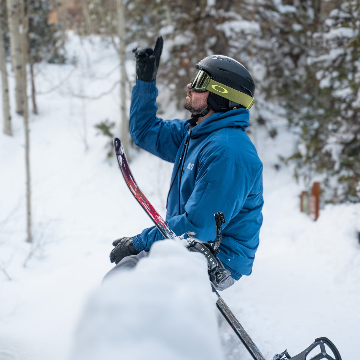 Spring Hoodie Jacket (Preorder)